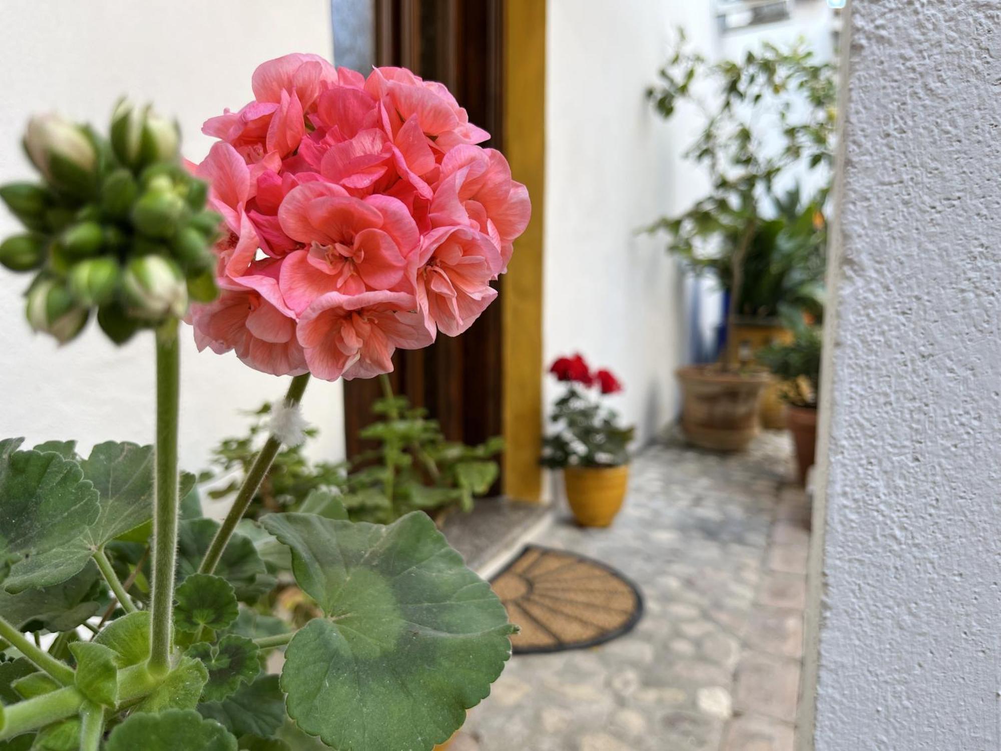 Casa Lia - Independent Apartment In The Gulf Of Orosei Galtellì Dış mekan fotoğraf